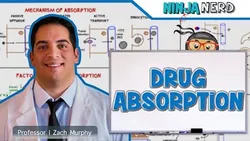 Pharmacokinetics Drug Absorption