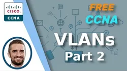Free CCNA VLANs (Part 2) Day 17 CCNA 200-301 Complete Course