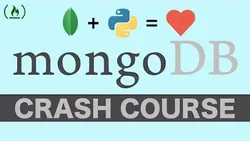MongoDB with Python Crash Course - Tutorial for Beginners