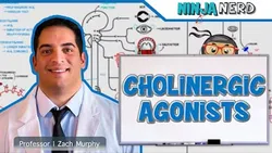 Autonomic Pharmacology Cholinergic Agonists