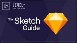 The Sketch Course Preview
