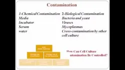Animal cell culture Mammalian tissue culture lecture