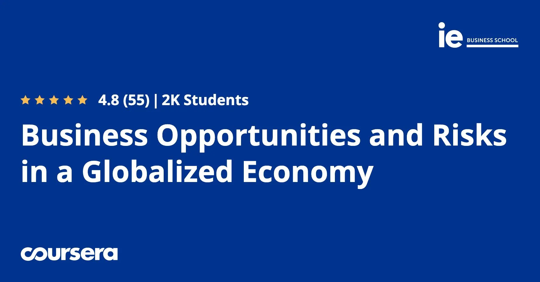Business Opportunities and Risks in a Globalized Economy
