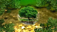 Environmental and Ecology Management