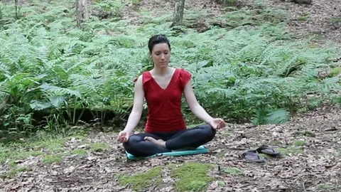 Free Meditation Tutorial - Foundation Skills for a Successful Meditation Practice