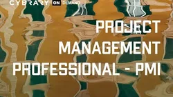 PMP (Project Management Professional) Course