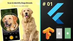 Dog Breed Identification using Deep Learning Tutorials - Flutter Machine Learning Kaggle Solution Full Course 2022 with Flutter Null Safety